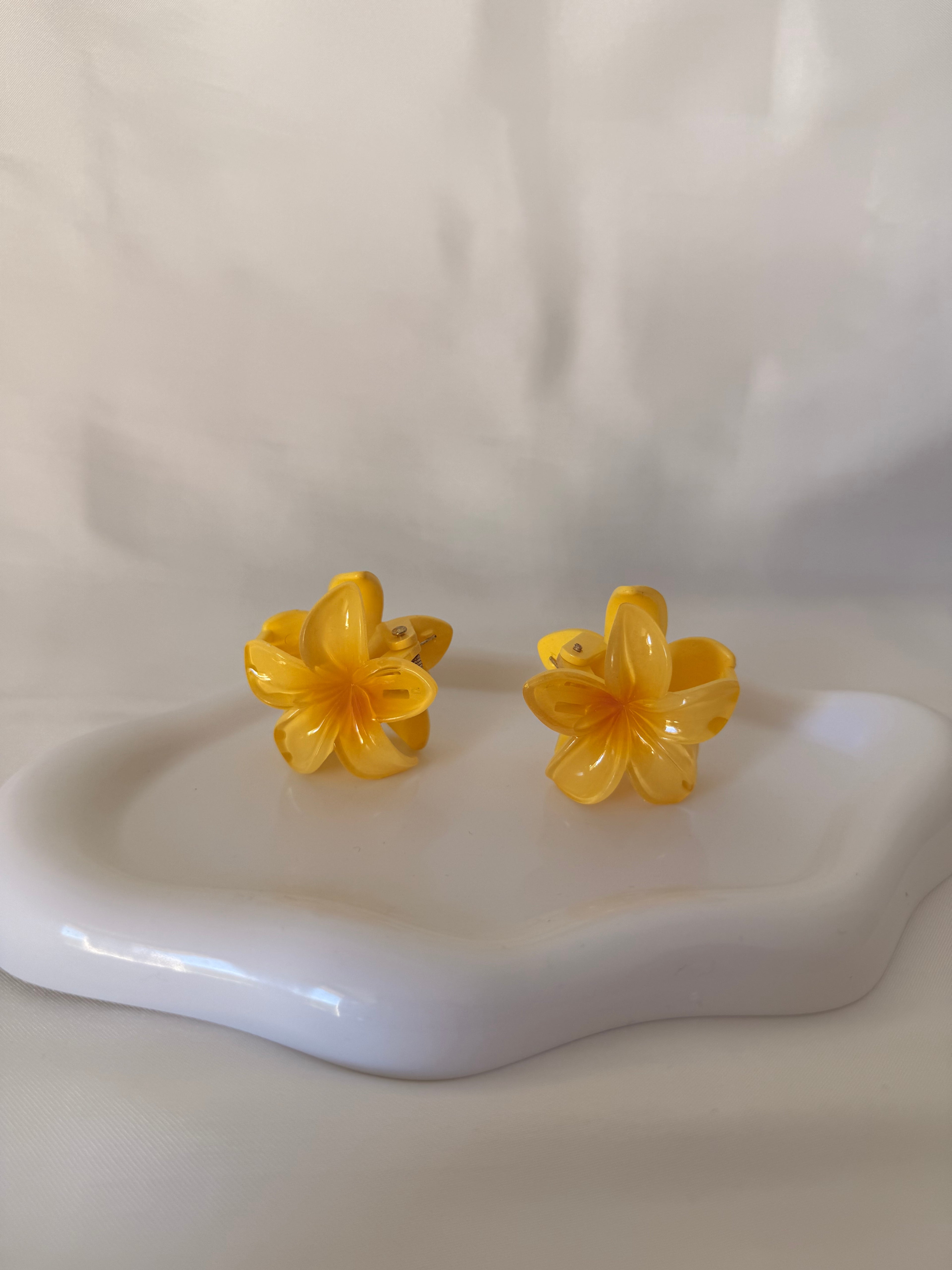 Lot 2 petites pinces fleurs